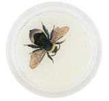John Derian - Coaster - Summer Bee
