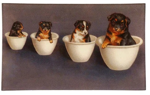 John Derian - Tray - 7 x 11.5 - Pet Bowls