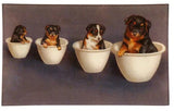 John Derian - Tray - 7 x 11.5 - Pet Bowls