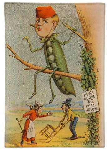 John Derian - Tray - 4.5 x 6.5 - No Peas Below