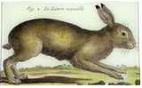 John Derian - Tray - 7 x 11.5 - Rabbit